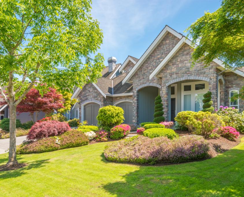 house with new trees