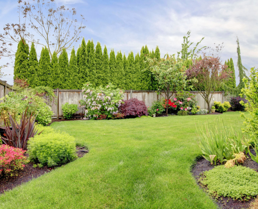 House exterior with landscape in backyard