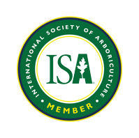 ISA Member