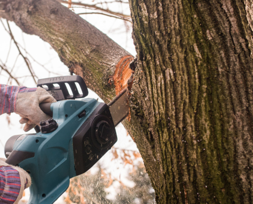 Close up view of a worker cutting tree branch