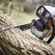 The Benefits of Tree Trimming: How Regular Pruning Keeps Yards Healthy and Beautiful