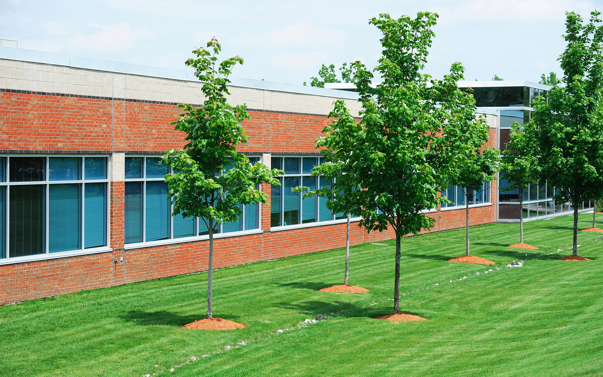 Landscaping Tips for Summer | Meyer Tree Service