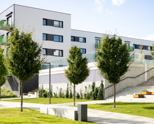 Building a Smart Commercial Tree Care Budget in the Fall