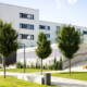 Building a Smart Commercial Tree Care Budget in the Fall