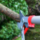 How to Conduct a Commercial Tree Care Review That Saves Next Year’s Budget