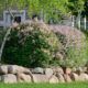 What to Check Before Your Next Tree Care Contract Renewal