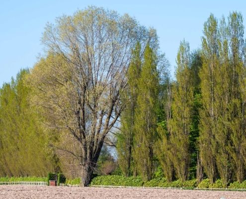 Ploughed and fertilized agriculture field at the Flemish countryside