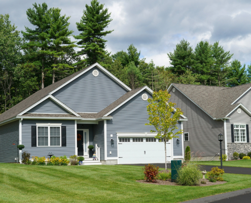 St. Louis Homeowners’ Guide to Spring Storm Preparation for Trees